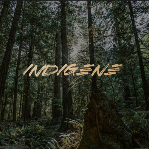 indigeneltd